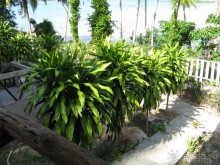 Островной отдых в бунгало