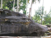 Морда дракона