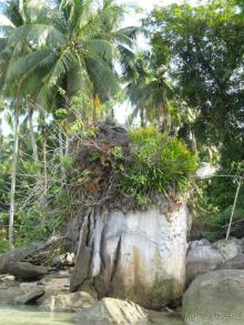 Камень-кочка