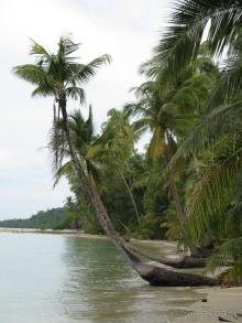 Островной отдых в бунгало