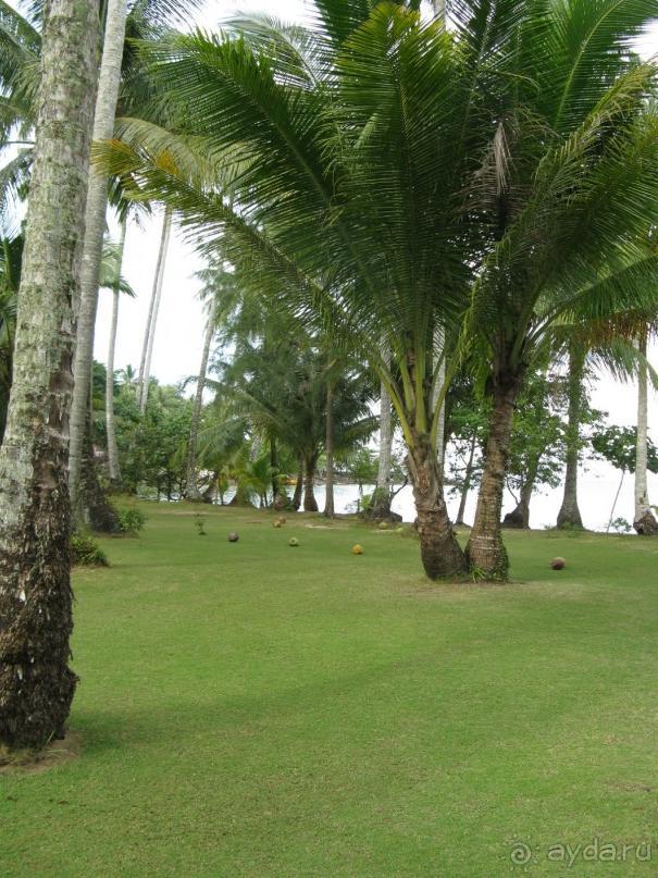 Островной отдых в бунгало