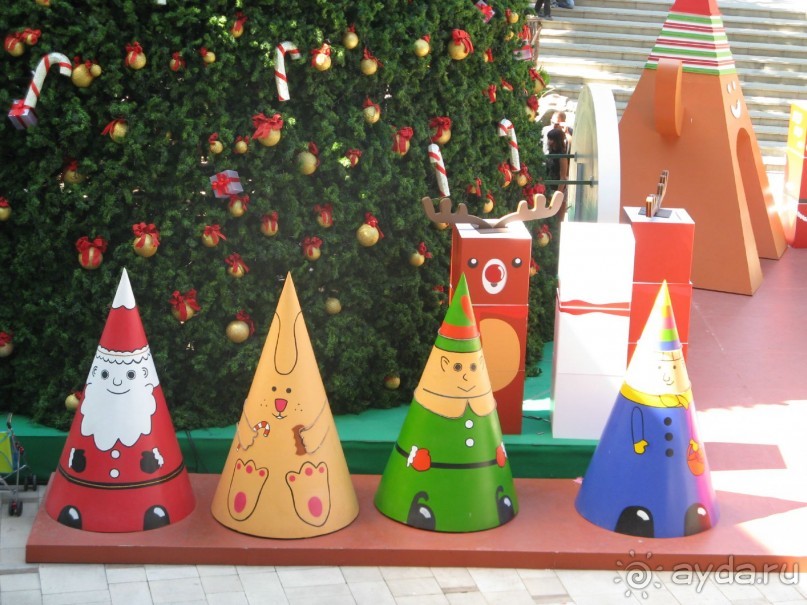 Все пучком возле елки