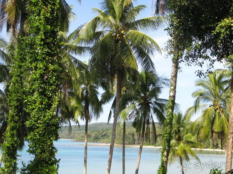 Островной отдых в бунгало