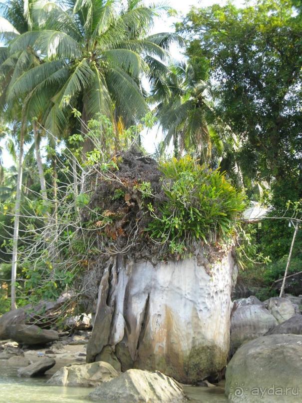 Камень-кочка