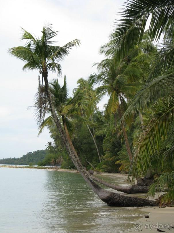 Островной отдых в бунгало