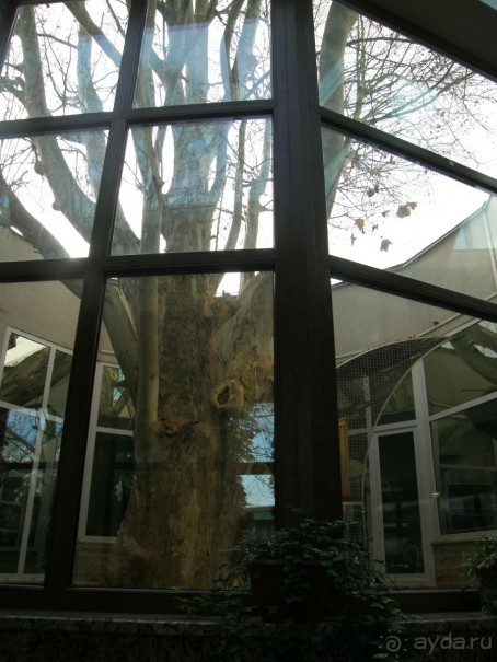 Отель замечательный, лечение профессиональное