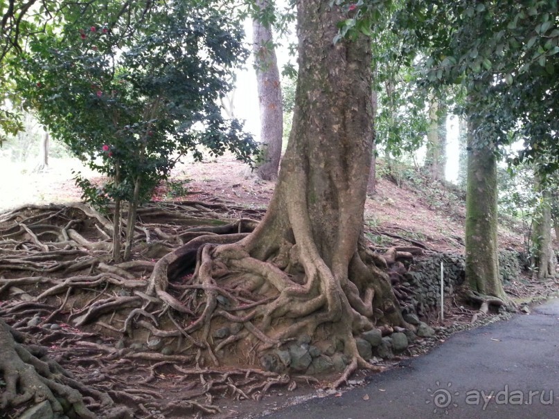 Горналижный курорт в Грузии