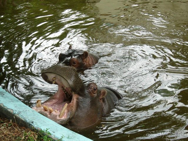 Серебряный берег для ребенка