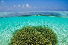 Maafushivaru Maldives