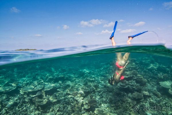 Maafushivaru Maldives