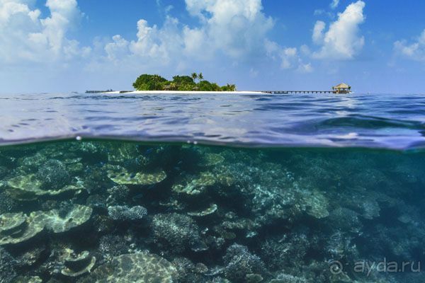 Maafushivaru Maldives