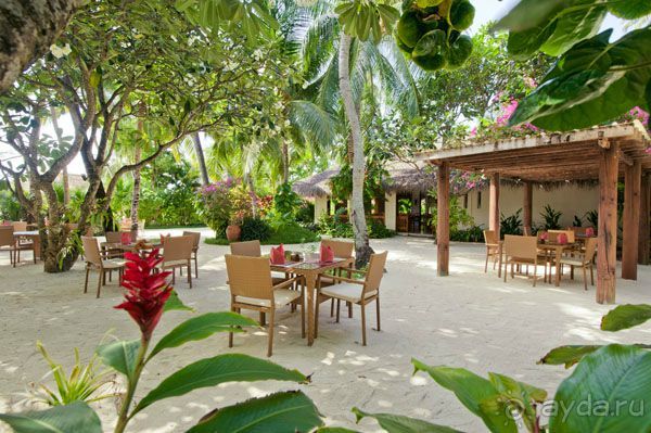 Kuramathi Island Resort