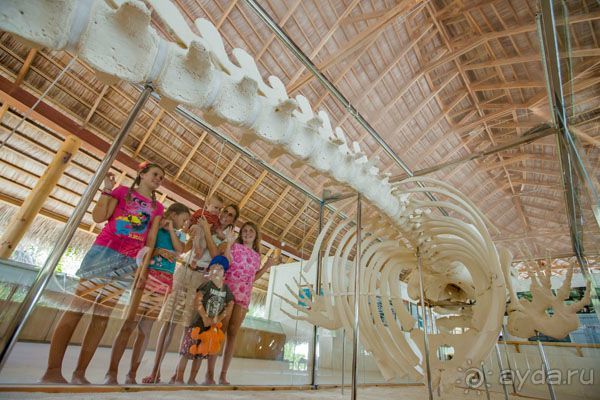 Kuramathi Island Resort