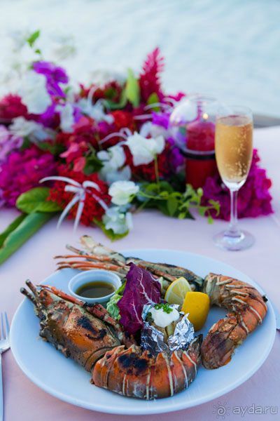 Kuramathi Island Resort