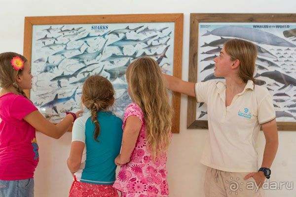 Kuramathi Island Resort