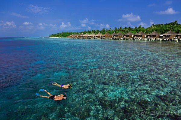 Kuramathi Island Resort