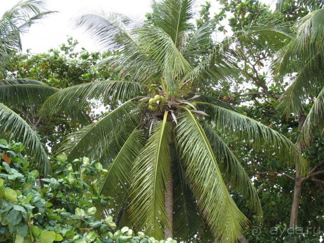 фото Grand Jomtien Palace