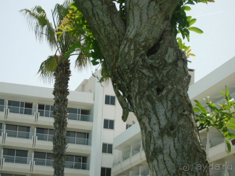 Здоровый отдых