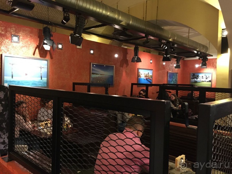 Выставка MITT и фото выставка в Кофемании