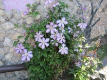 Гостевой дом Мари-Мар