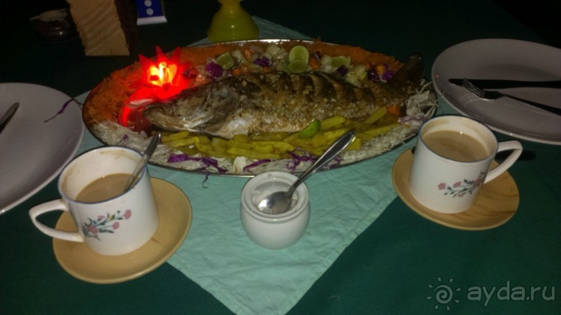 Рыбка "рэд снайпер" 800 рупий. Овощи в подарок