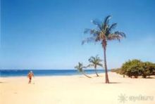 Альбом отзыва "Отдых в ГОА"