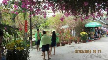 фото Hai Yen