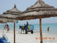 пляж отеля Mahdia Beach утром