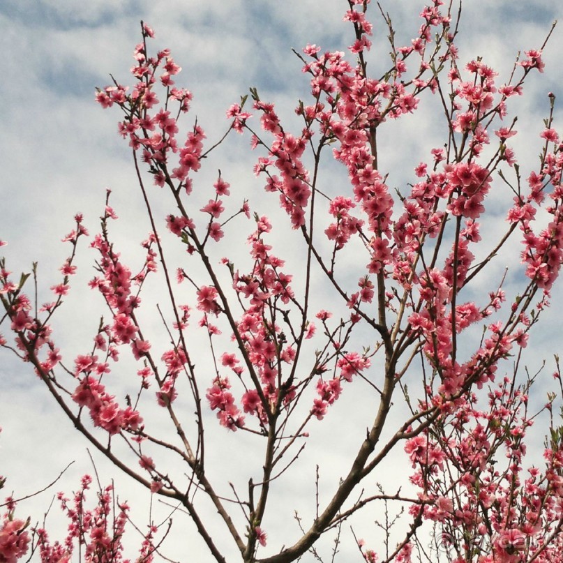 Грузия круглый год .  Индивидуальные туры с гидом .