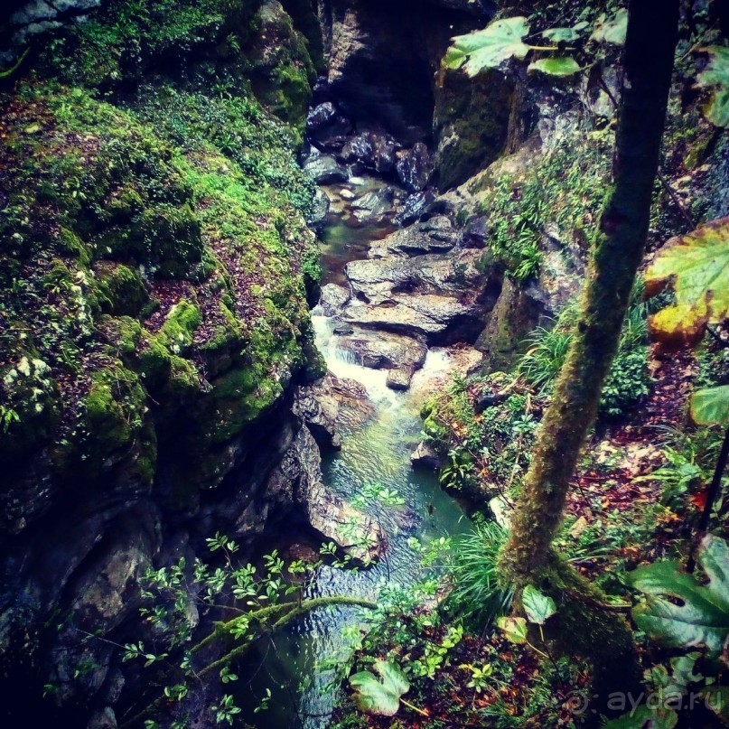 Грузия круглый год .  Индивидуальные туры с гидом .