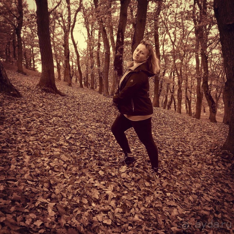 Грузия круглый год .  Индивидуальные туры с гидом .