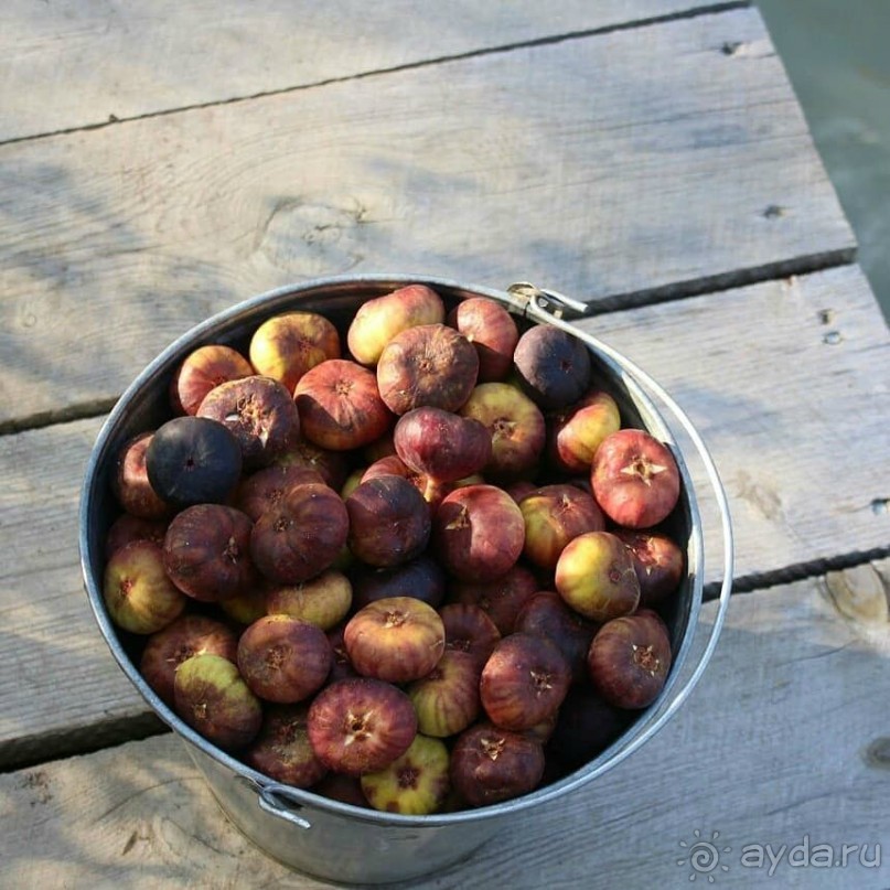 Грузия круглый год .  Индивидуальные туры с гидом .