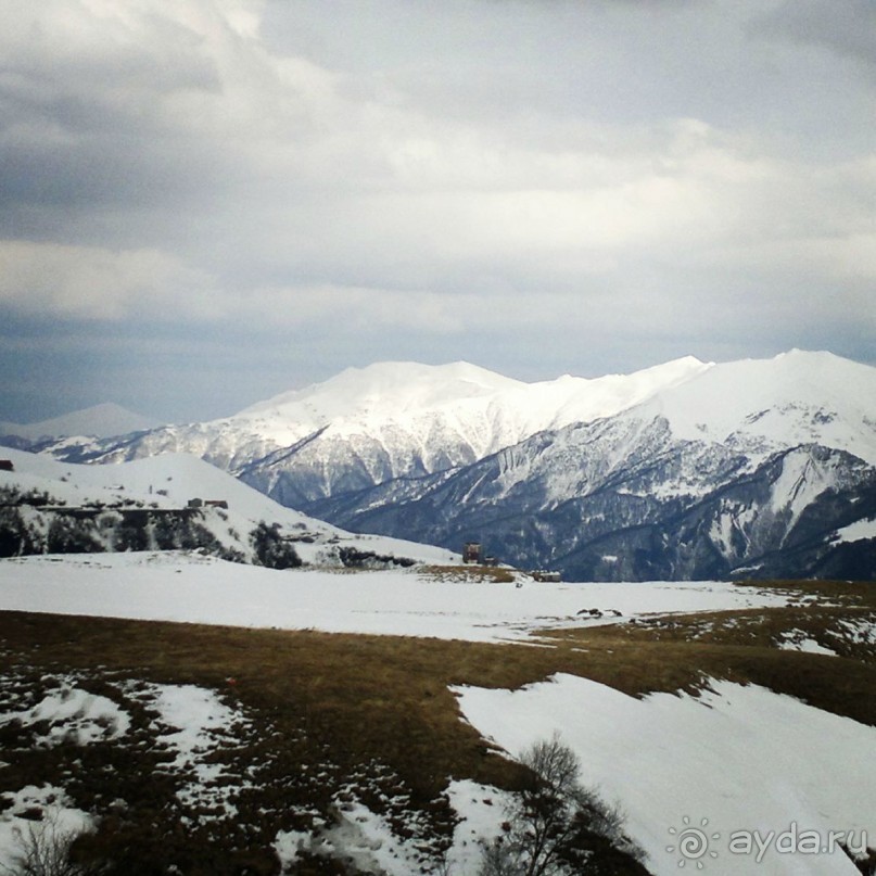 Грузия круглый год .  Индивидуальные туры с гидом .