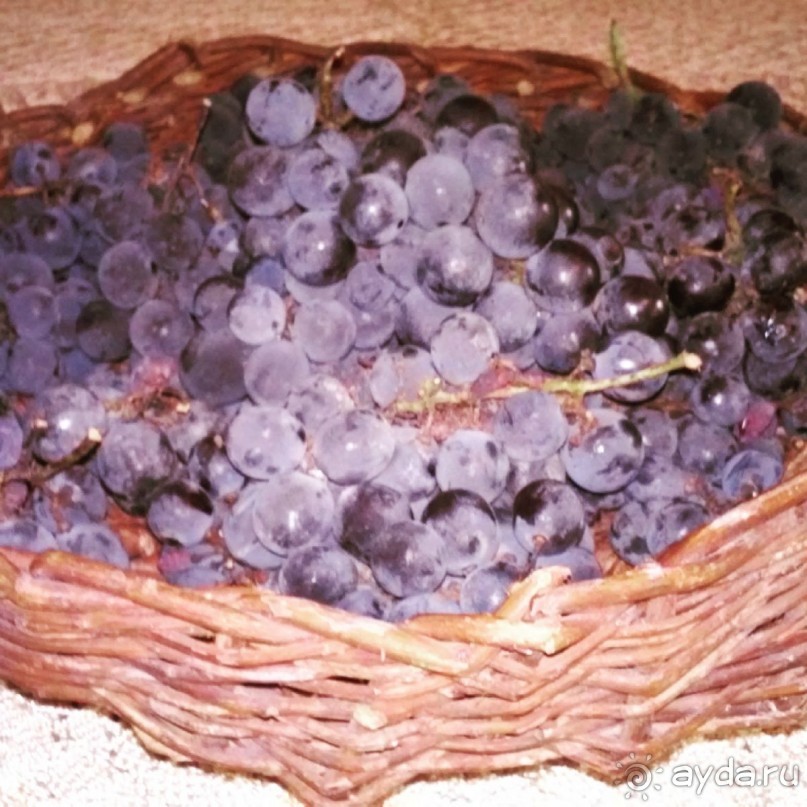 Грузия круглый год .  Индивидуальные туры с гидом .