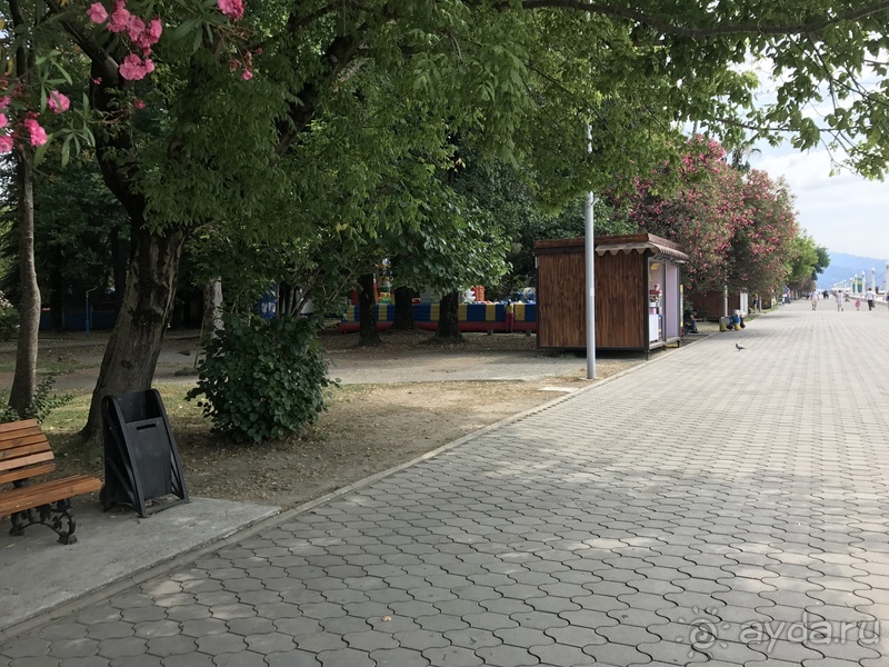 Студия возле моря