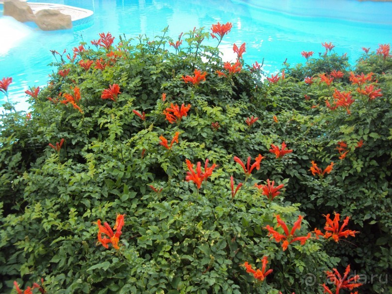 классный отель.