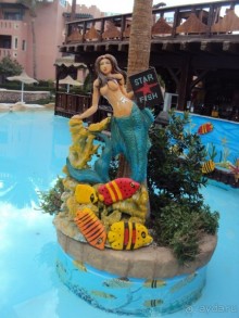 фото Rehana Sharm Resort 