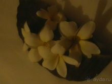 РАААААЙ!!!!!!!!