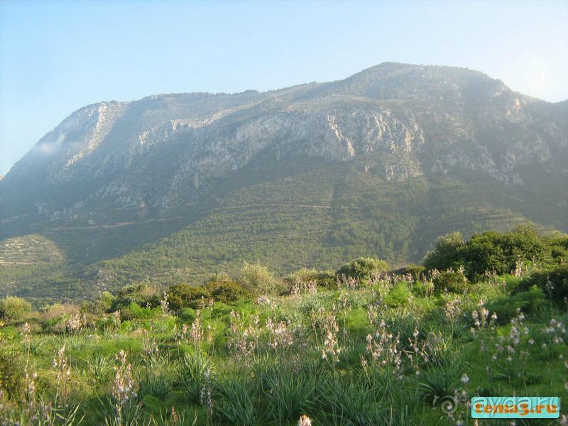 Приглашаю на Кипр!