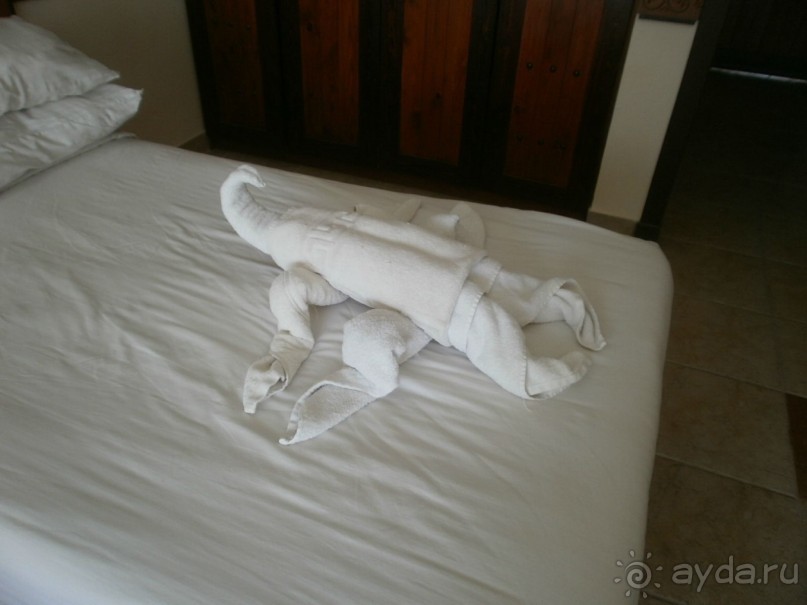 Море солнца