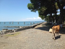 Правда с фотофактами о мнимом *рае на земле* . Гудаута, Гагра, Сухум, Цандрипш, Очамчира, Агудзера.