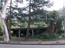  Ничего кроме Гагры! не приходит ЛОХАМ в голову, А ЗРЯ...