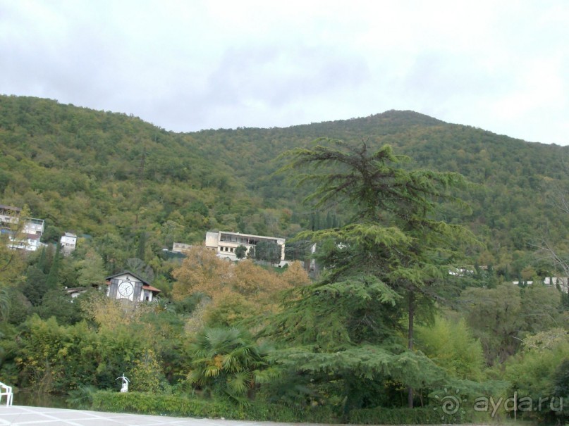  Ничего кроме Гагры! не приходит ЛОХАМ в голову, А ЗРЯ...