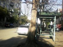 Абхазия 2015. Необъяснимое и странное. АБОРИГЕНСКОЕ.