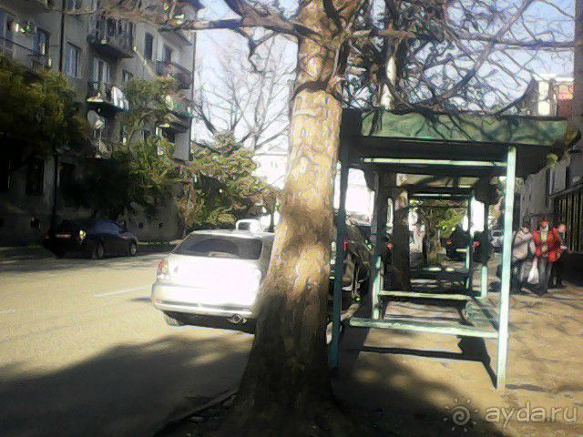 Абхазия 2015. Необъяснимое и странное. АБОРИГЕНСКОЕ.