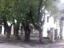 СМЕШНО. ну просто ХА! да и только... Сухум 15