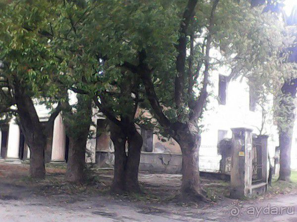 СМЕШНО. ну просто ХА! да и только... Сухум 15