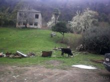 О ГЛАВНОМ. Сухум 2015.