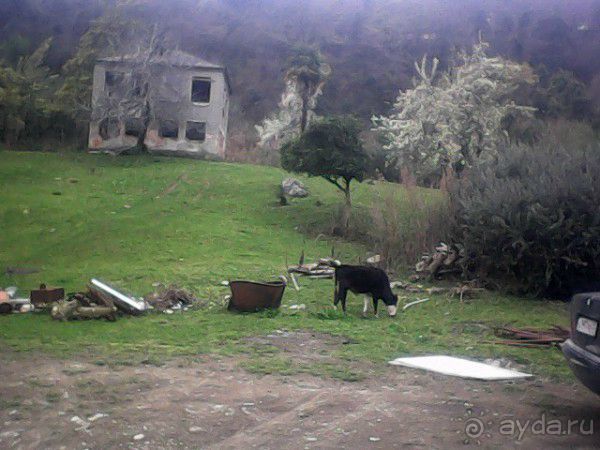 О ГЛАВНОМ. Сухум 2015.