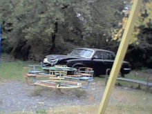 Дикарские привычки абхазских аборигенов. Сухум осень 2017.